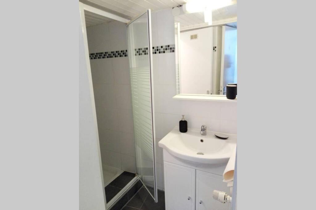 Appartement Cosy Rue Sainte Madeleine Strasbourg Exterior photo